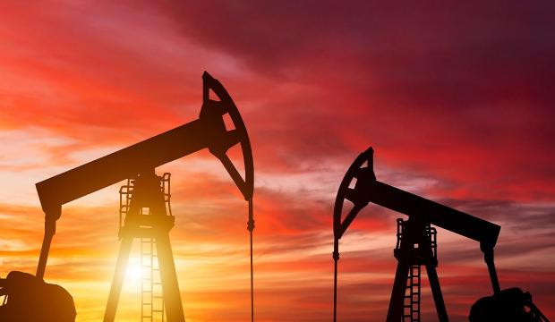 ABD'li dev şirket g&ouml;z&uuml;n&uuml; Diyarbakır'a dikti: Petrol kralı geliyor!