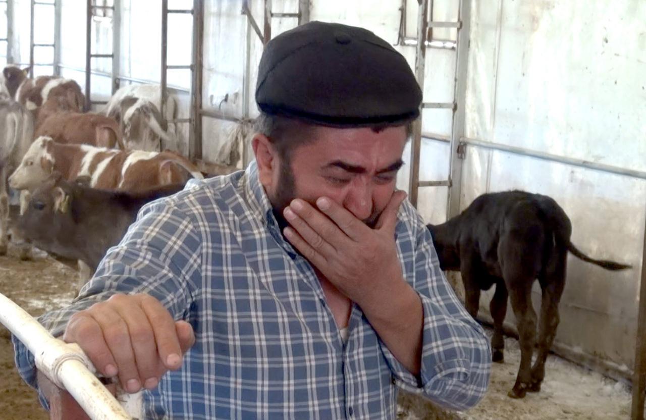 9 buzağısını kaybeden besici, ağlayarak yaşadıklarını anlattı.