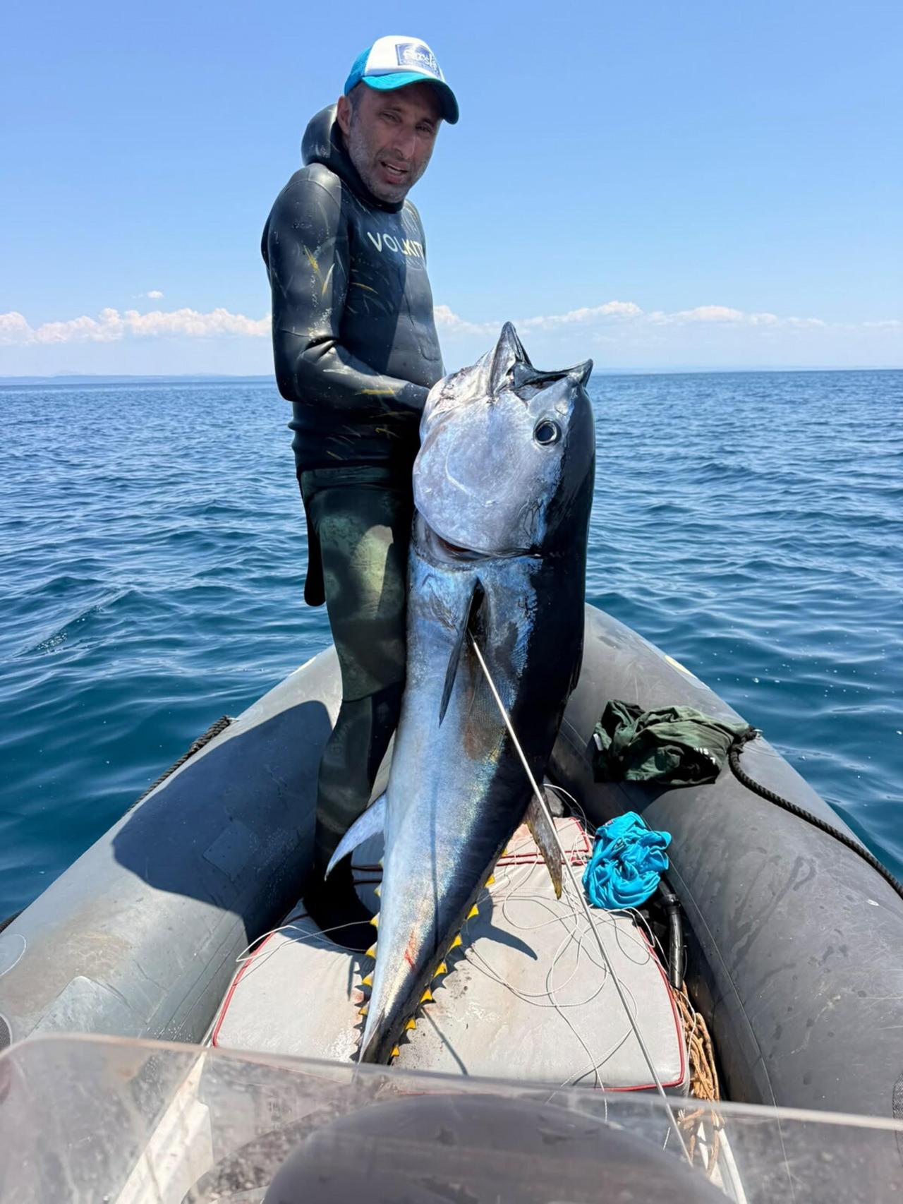 Gökçeada'da zıpkınla 1 metre 82 santim boyunda orkinos avladılar.