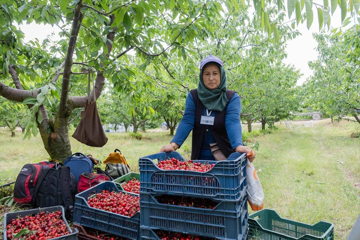 'Sınırları kaldıralım' dediler, servete kondular: Bir köyün kaderini değiştiren karar!