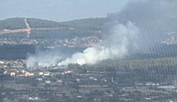 Son dakika: Muğla'da orman yangını!