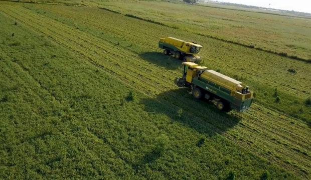 Toprağın bereketi SuperFresh&rsquo;in &lsquo;hasat&rsquo;ıyla yılın 365 g&uuml;n&uuml; sofralarda