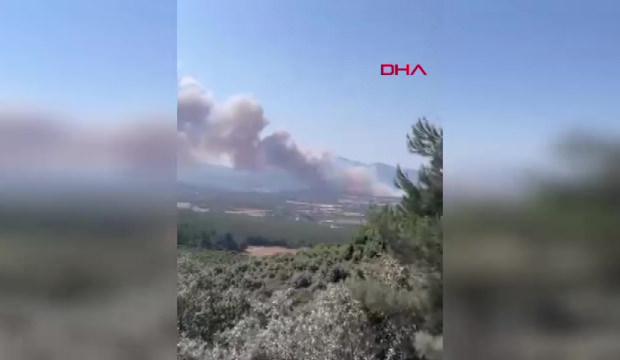 &Ccedil;anakkale&rsquo;de orman yangını