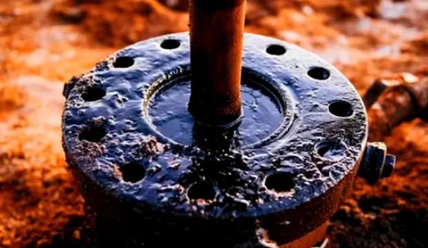 TPAO, Kerk&uuml;k'te bulunan dev petrol rezervine ortak oldu!