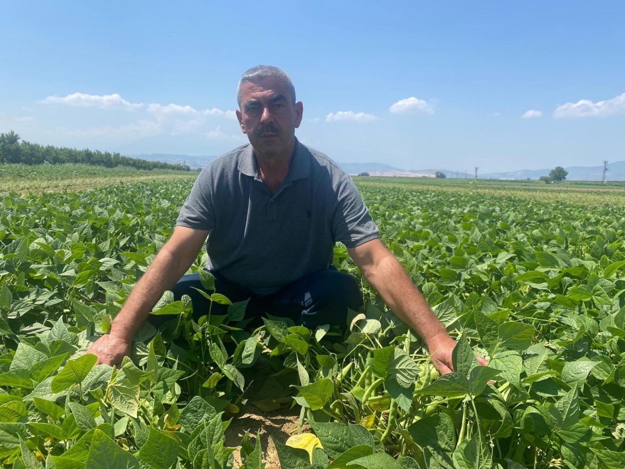 Hikmet Avşar
