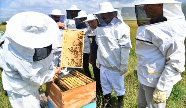 Coğrafi işaretli Ardahan balında hasat başladı!
