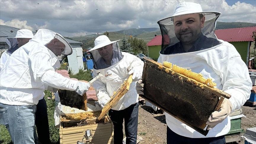 Yüksek rakımın en özel şifası! Kilosu bu yıl 1900 lira olacak