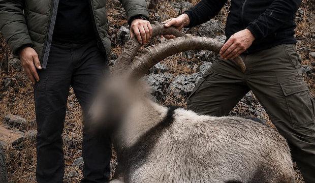 Pa&ccedil;ayı yırttım sanan ka&ccedil;ak avcılar 6 yıl sonra enselendi! Bakanlık paylaştı 