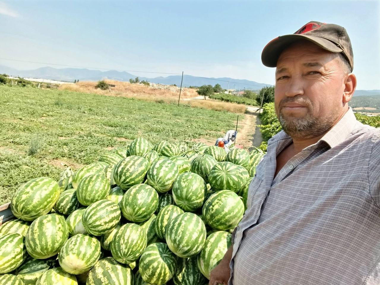 arlada para etmeyen karpuzu pazarda kendisi satıyor.