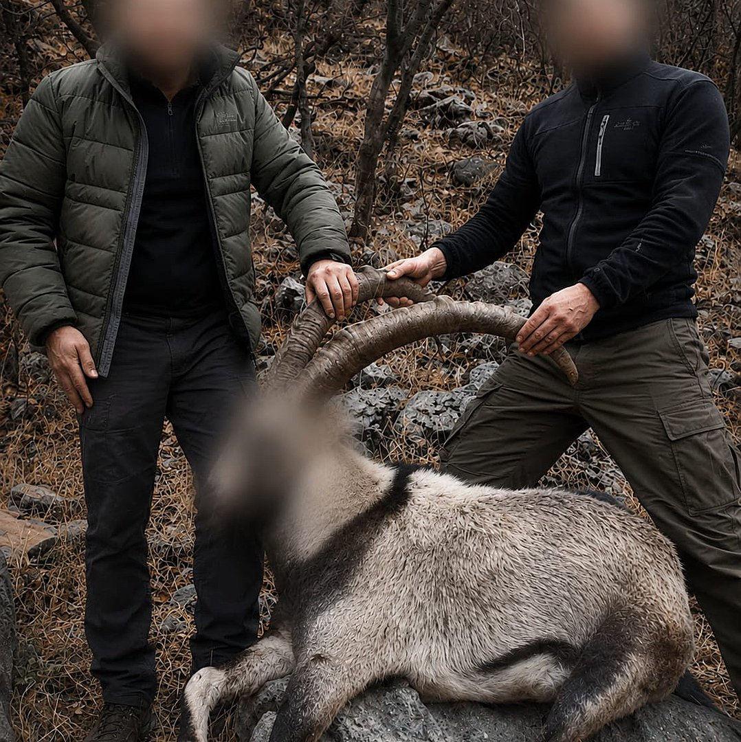 6 yıl önce 5 yaban keçisini yasa dışı avlayan 2 kişiye para cezası.