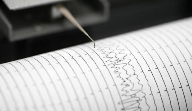 Yeni Zelanda'da deprem! Beşik gibi sallandı!