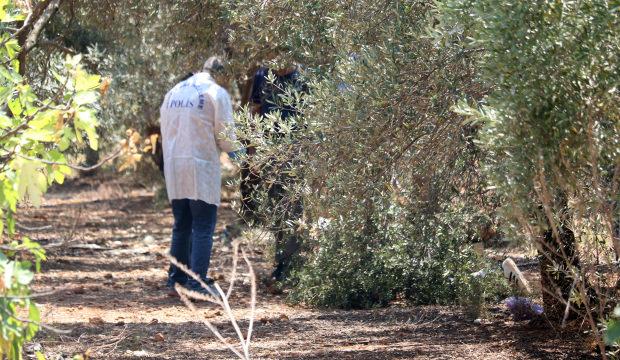 Zeytinlikte korkun&ccedil; manzara! Elleri arkadan bağlı ceset bulundu