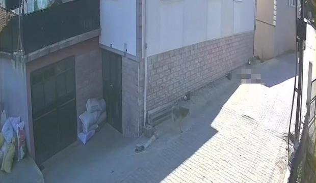 Zonguldak'ta balkondan d&uuml;şen kadın &ouml;ld&uuml;! Korkun&ccedil; anlar kaydedildi 