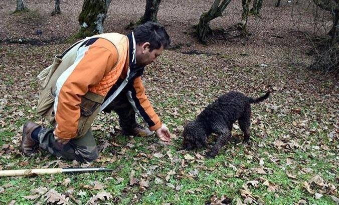 Toprağın altındaki servet! Eğitimli köpeklerle bulunuyor: