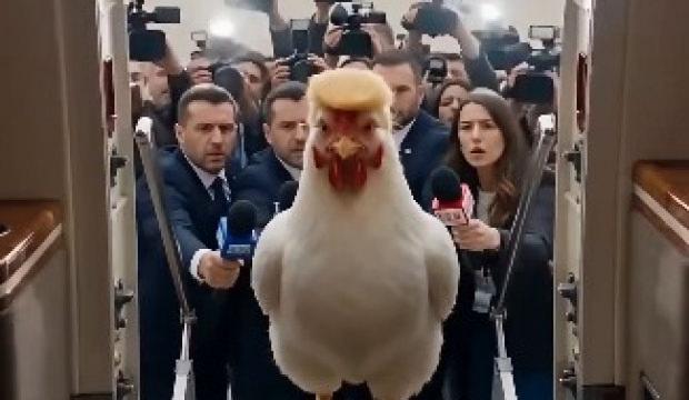 Trump'a korkak tavuk g&ouml;ndermesi
