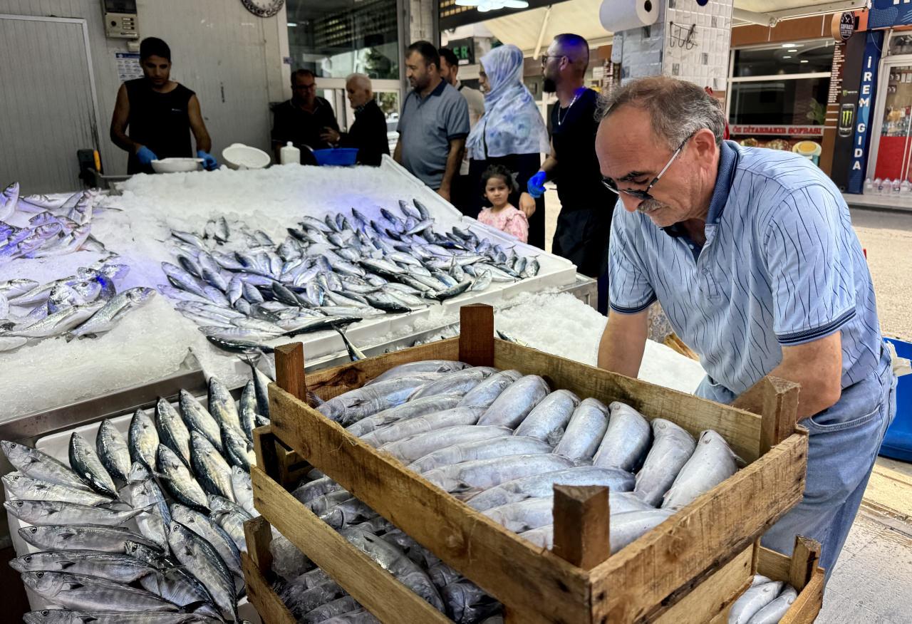 Karadeniz'de palamut bolluğu: Fiyatların daha da düşmesi bekleniyor