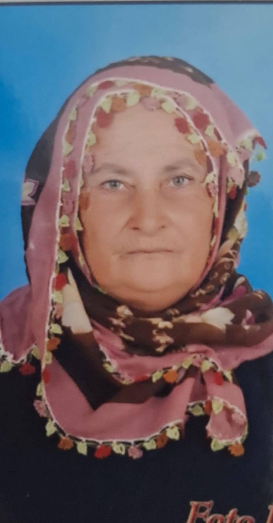 Cezire Avlukyarı (75)