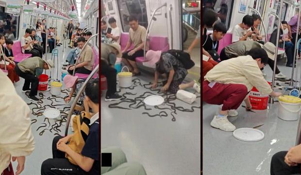 &Ccedil;in'de devrilen kovadan sa&ccedil;ılan yılan balıkları metroda panik yarattı