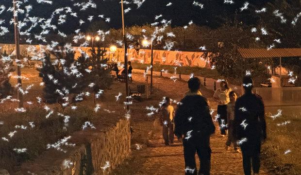 G&ouml;ky&uuml;z&uuml;n&uuml; bir anda kapladı! '&Ouml;l&uuml;m dansı' başladı, yarım saat sonra &ouml;l&uuml;yorlar!