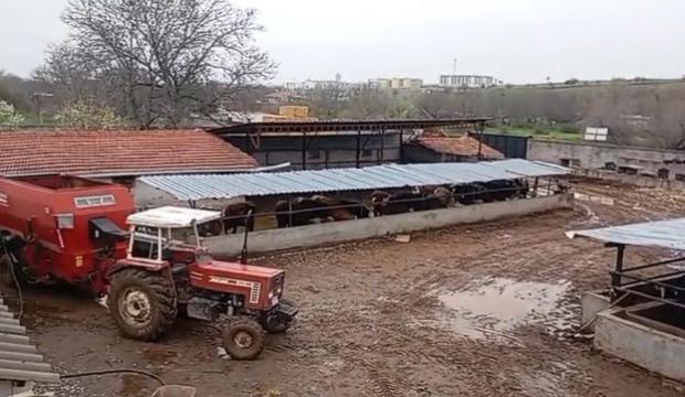 Hem koyunları &ccedil;aldı hem de aramasına yardım etti! Akıllara durgunluk veren olay