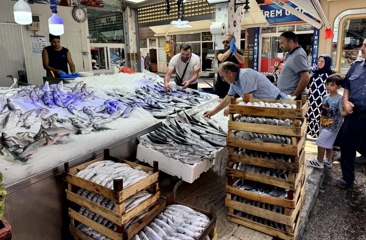 Karadeniz'de palamut bolluğu: Fiyatların daha da düşmesi bekleniyor