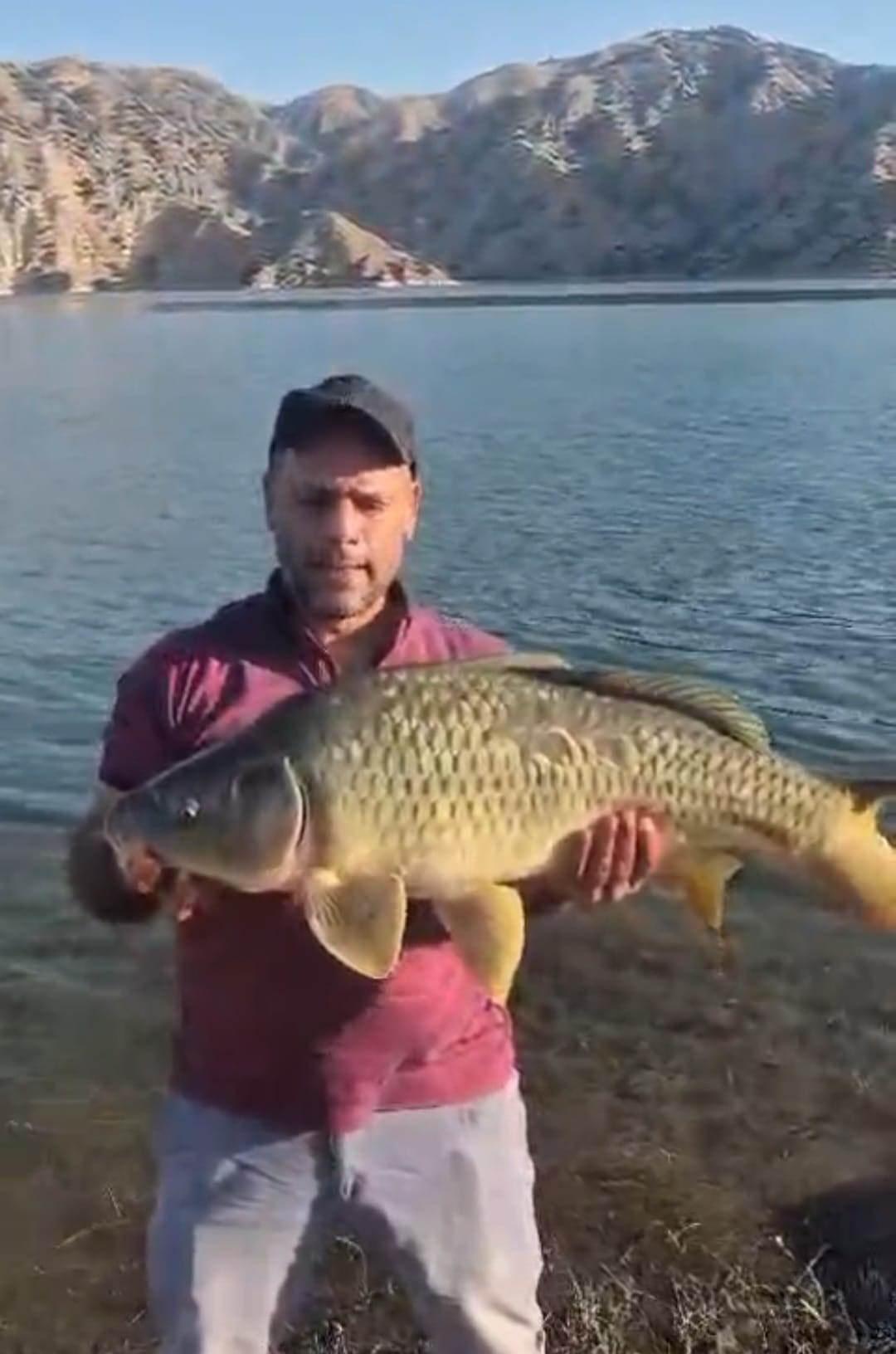 Keban Baraj Gölü’nde 10 kiloluk sazan yakalandı.