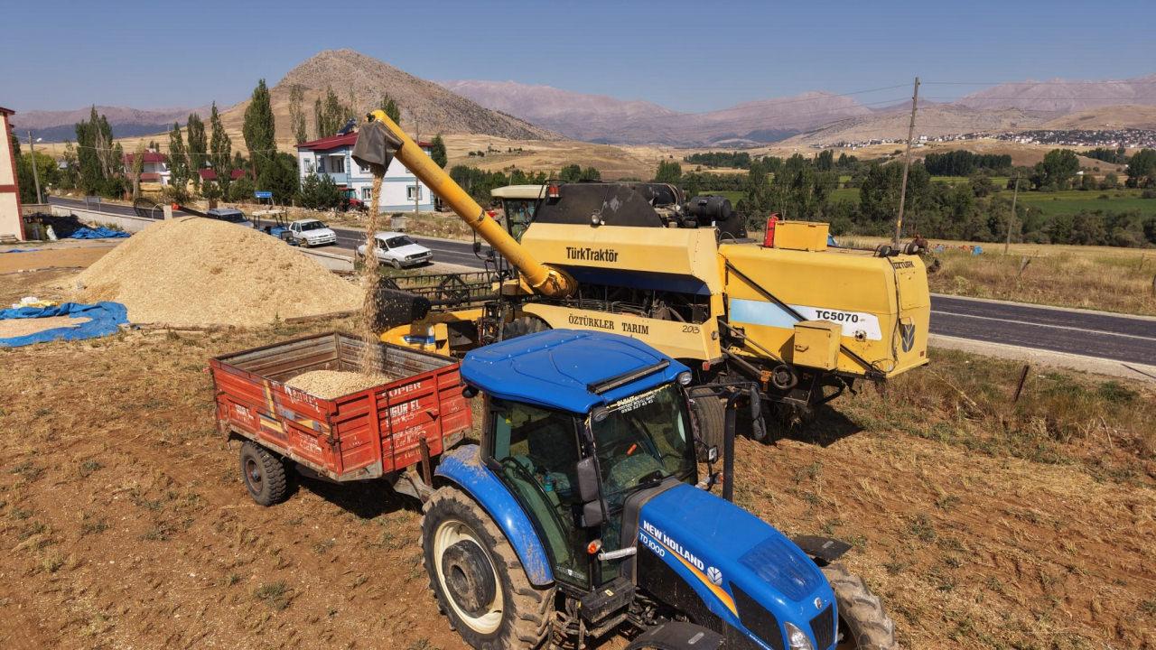 Hasat yapan çiftçinin yüzü güldü: Kilosu 100 liradan satılıyor