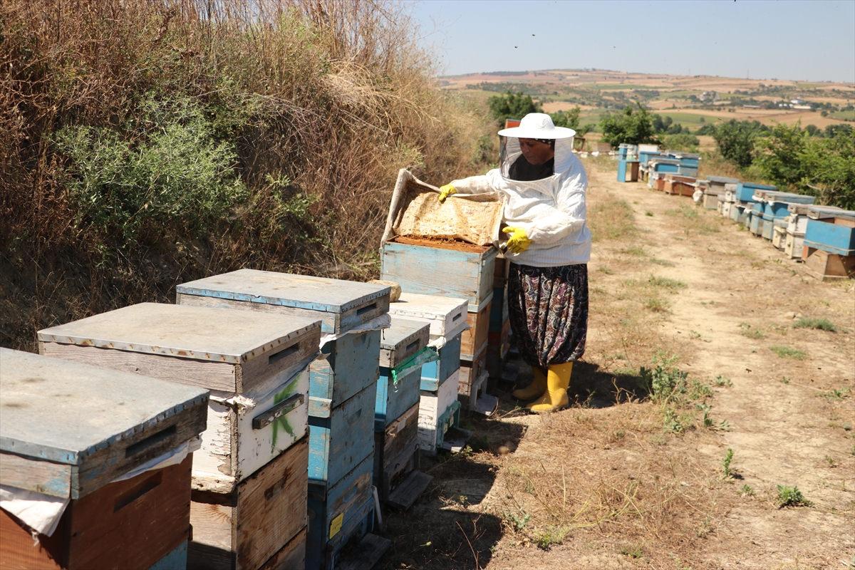 Tarlada bir kovan buldu 450 kovanlık çiftliğe dönüştürdü