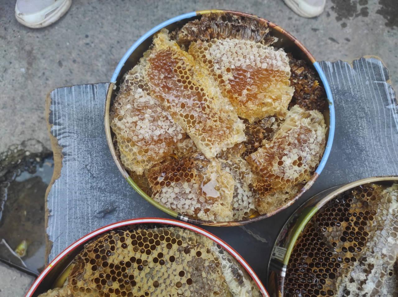 Sason'da ağaç kovuklarından çıkan balın kilosu çeyrek altını geride bıraktı.