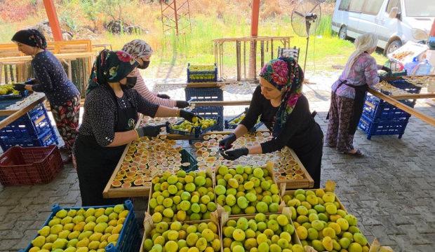 Cami &ouml;nlerinde başladı şimdi t&uuml;m T&uuml;rkiye'ye satıyor