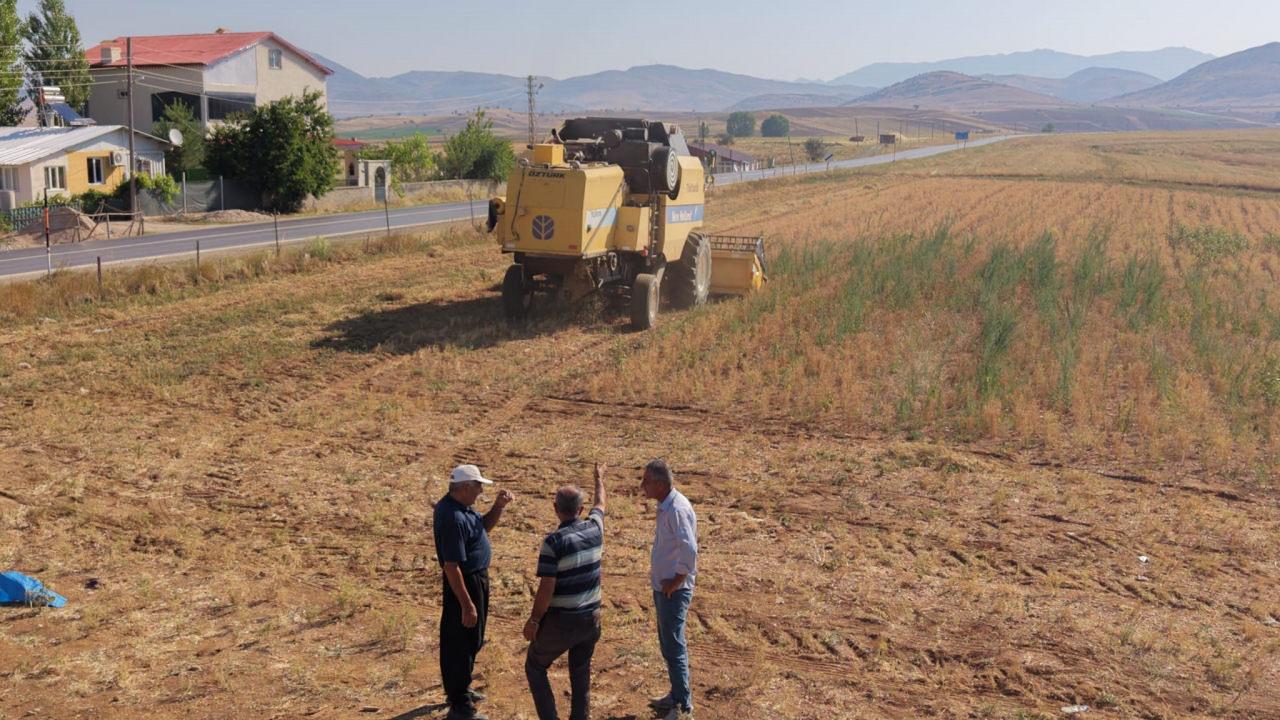 Hasat yapan çiftçinin yüzü güldü: Kilosu 100 liradan satılıyor