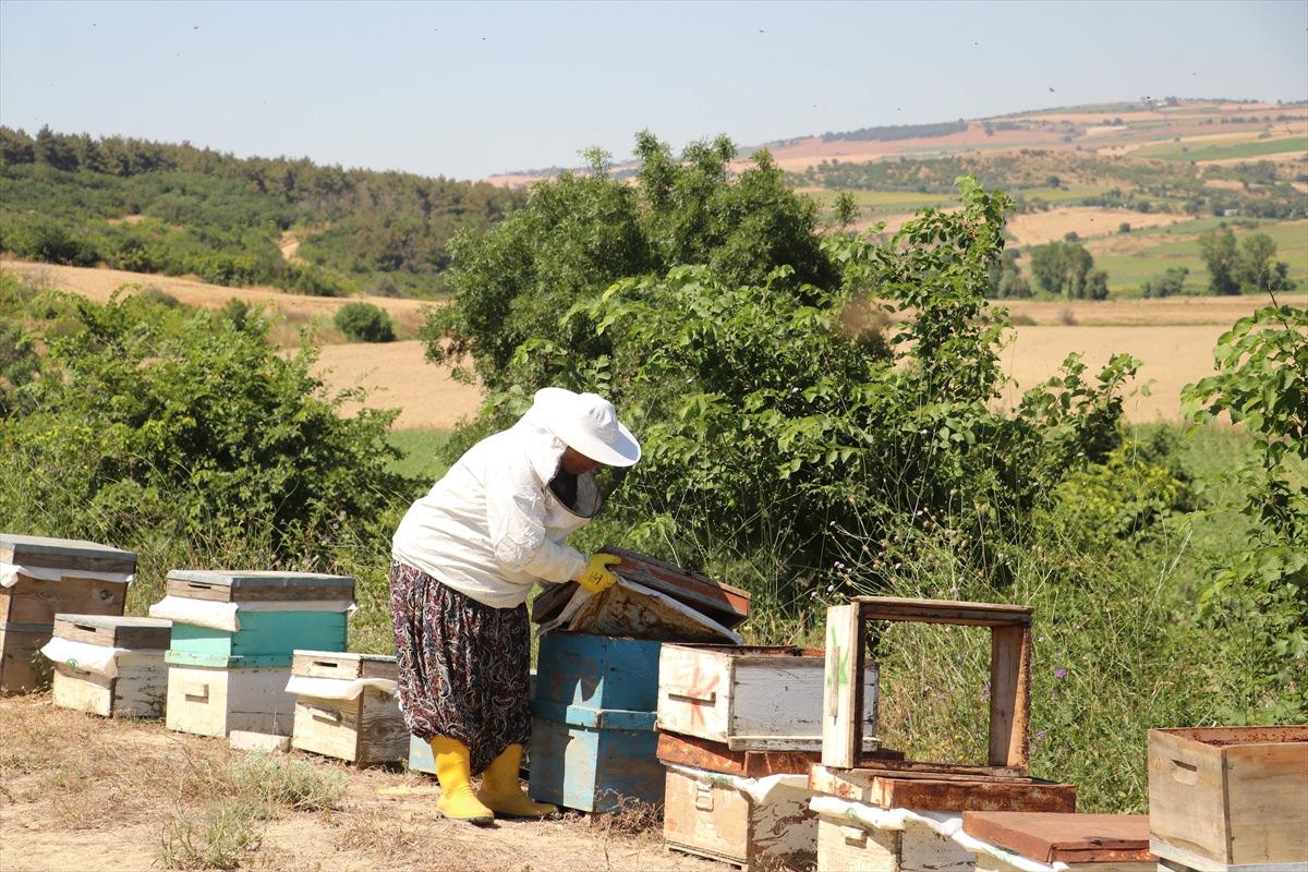 Tarlada bir kovan buldu 450 kovanlık çiftliğe dönüştürdü