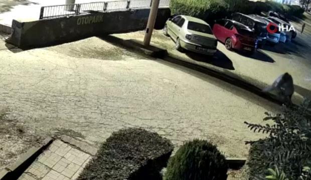 Kucağında &ccedil;ocuğu varken eşini katletti! Diyarbakır'da kan donduran dakikalar