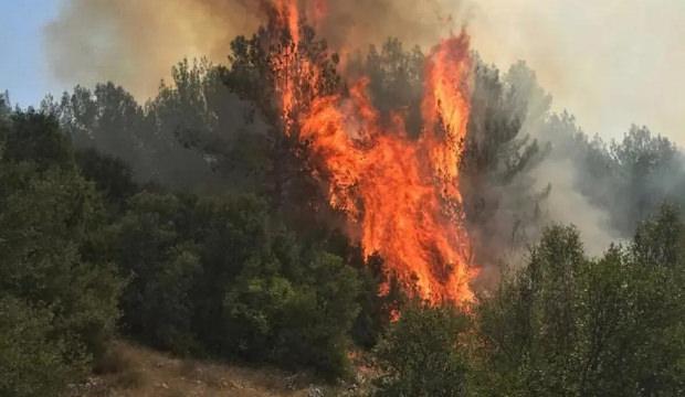 Muğla'da &ccedil;ıkan orman yangınına m&uuml;dahale ediliyor