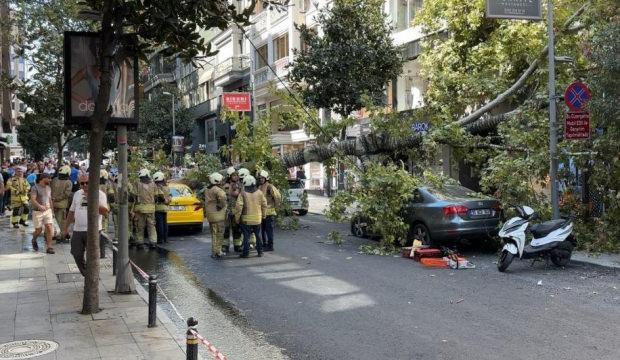 Nişantaşı&rsquo;nda &ccedil;ınar ağacı iki aracın &uuml;zerine devrildi