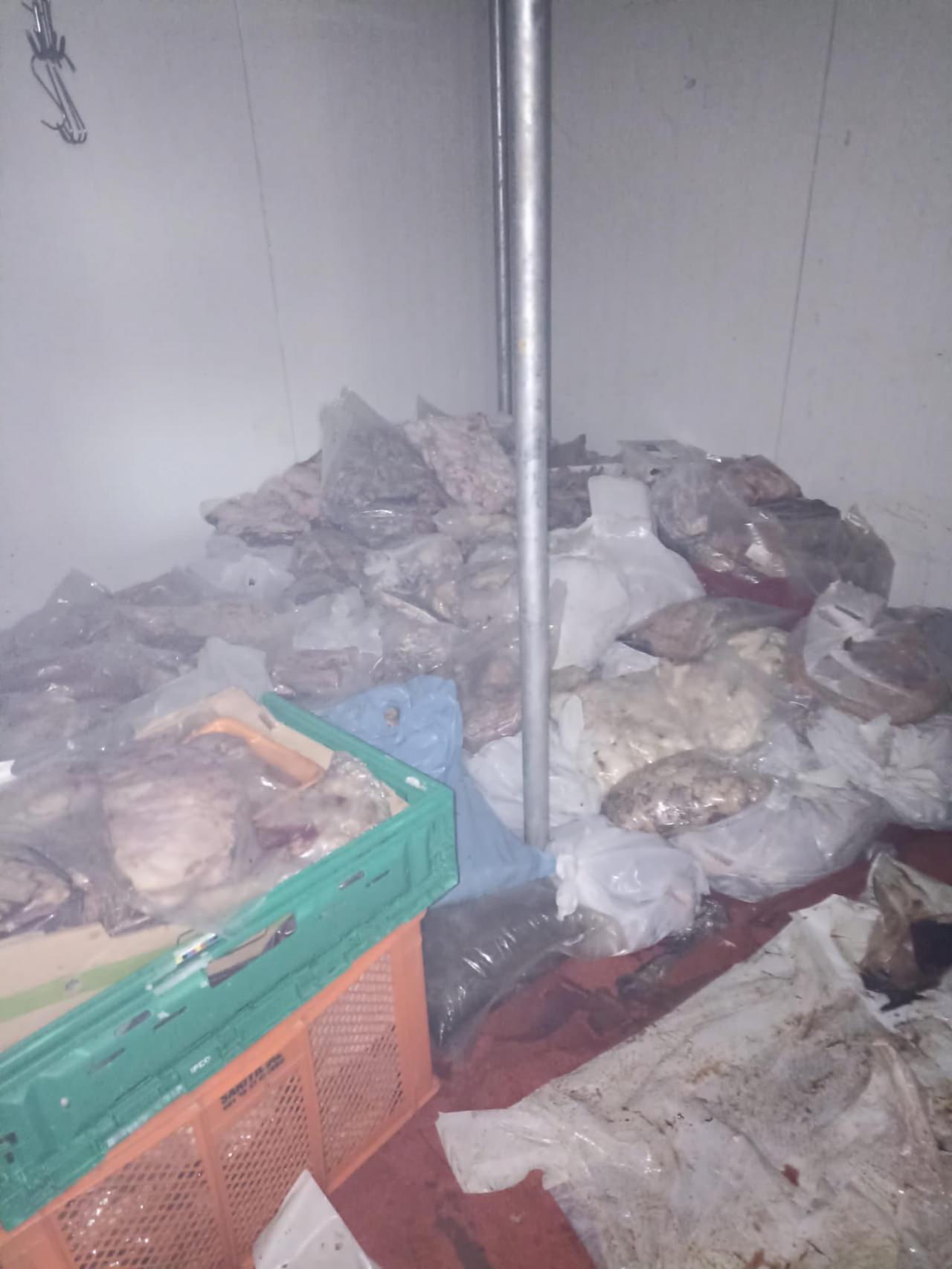 Bodrum'da kapalı kasap deposundan 400 kilo bozuk et çıktı.