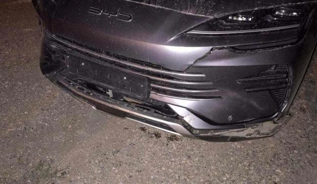 Bilecik'te otomobilin &ccedil;arptığı domuzlar telef oldu
