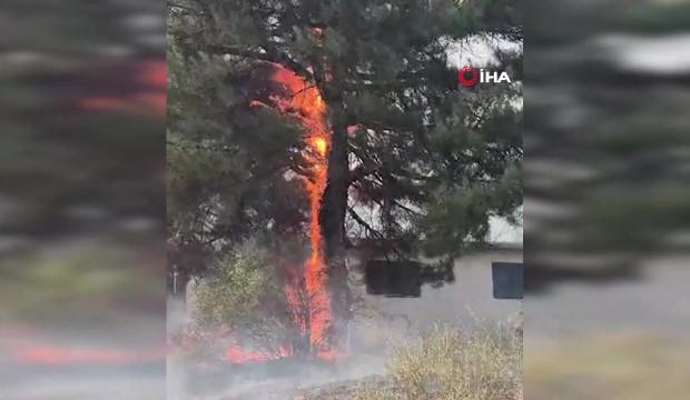 Feke&rsquo;de orman yangını: Helikopter ile m&uuml;dahale ediliyor