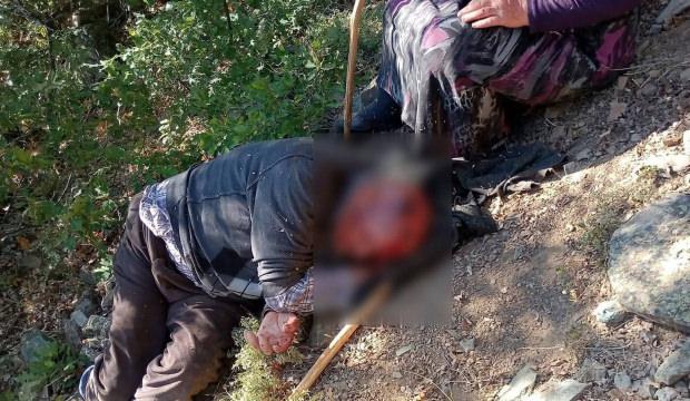 Kuşburnu toplarken 30 metrelik u&ccedil;uruma yuvarlandı: Ekipler seferber oldu