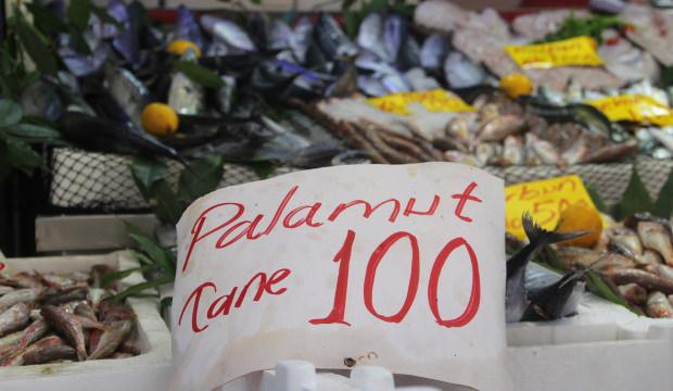 Ge&ccedil;en yılki palamut hasreti bitti: Rakamı duyan vatandaş akın etti