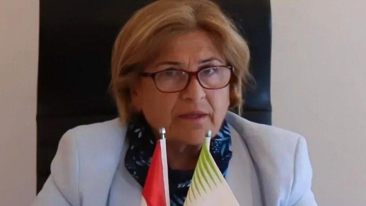 Medine Pamuk
