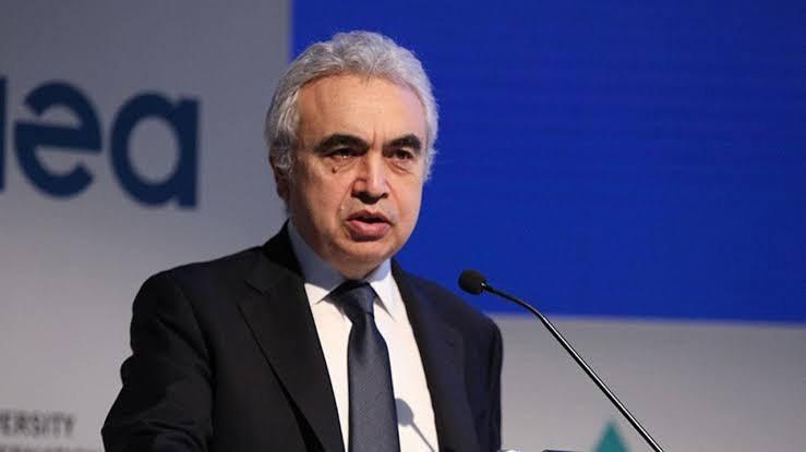 Uluslararası Enerji Ajansı Başkanı Fatih Birol