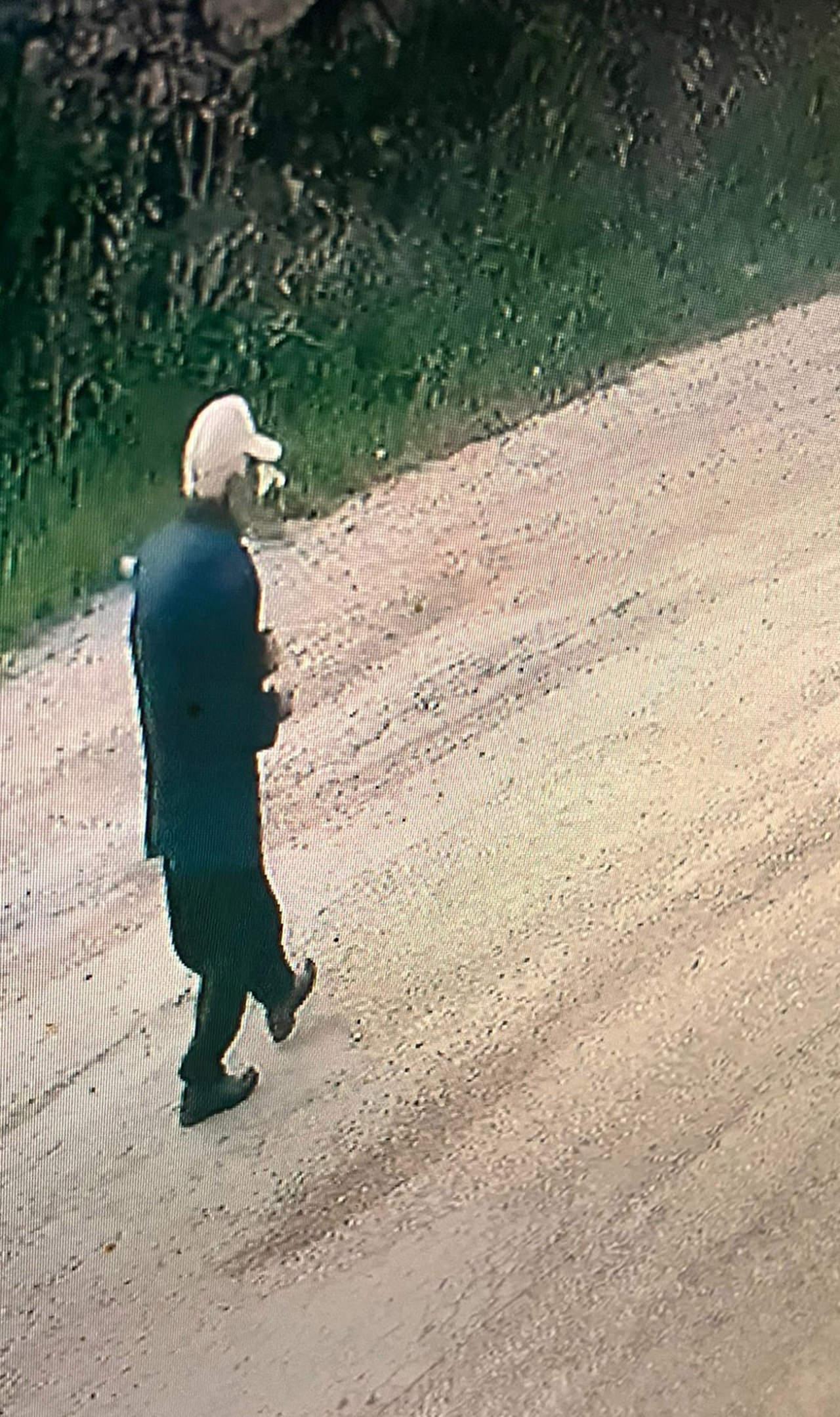 Hüseyin Karadeniz'in güvenlik kamerasına takılan görüntüsü.