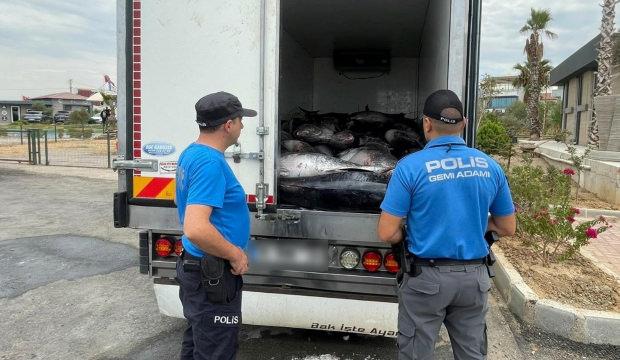 İzmir'de 3 ton mavi y&uuml;zge&ccedil;li orkinos sevinci kursaklarında kaldı! Piyasa değeri şoke etti
