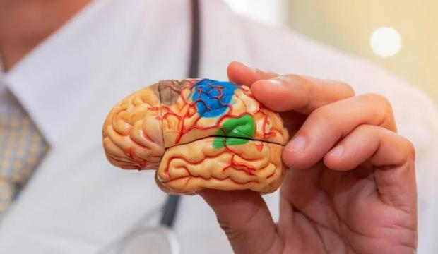 10 dakika yapan yaşadı: Beyni canlandırıyor! Etkisini anında g&ouml;steriyor