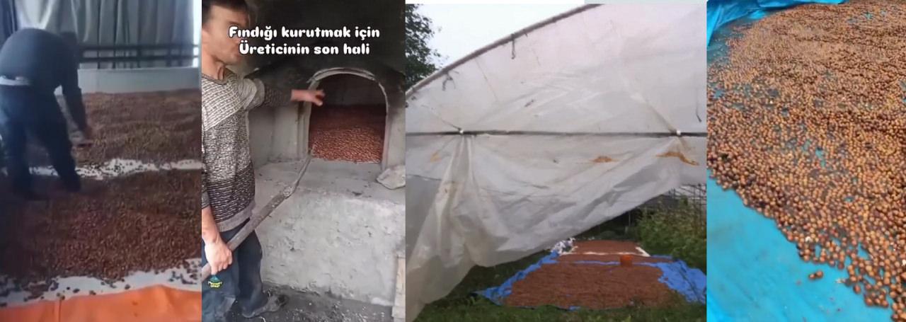 Endüstriyel kurutmada uygulanan yüksek fiyatlardan dolayı üreticiler bin bir farklı yöntemle fındıklarınızı kurutmaya çalışıyor