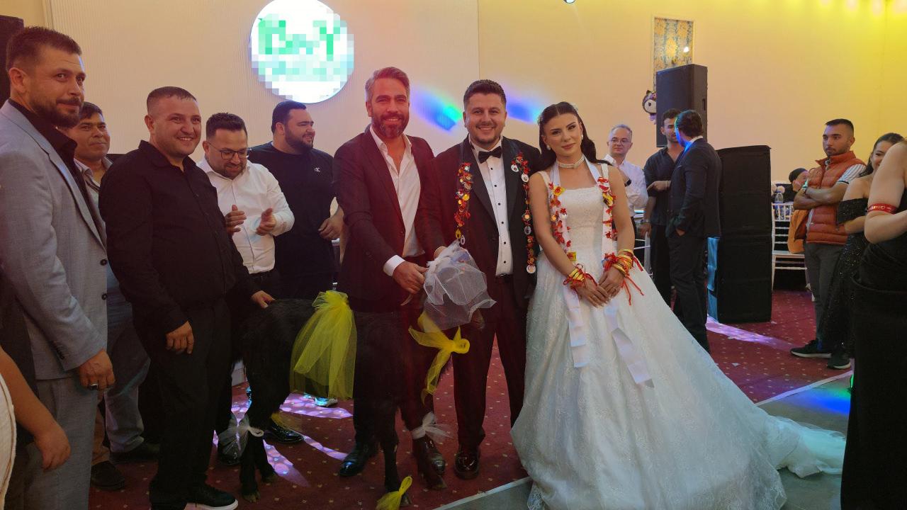 Gelin ve damada keçi hediye edildi.
