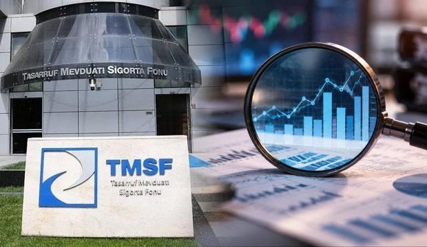 TMSF'den Destek Yatırım Bankası kararı: Yeni y&ouml;netim atandı