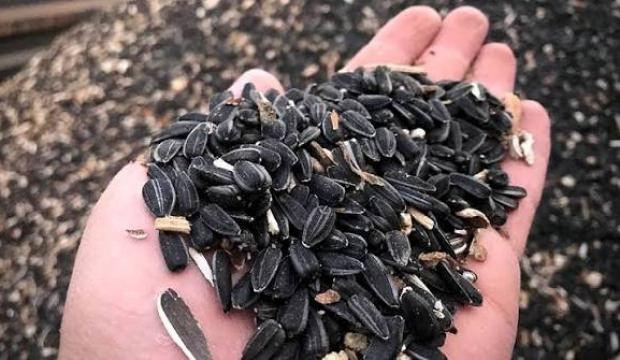 Yağlık ay&ccedil;i&ccedil;eğinde &ouml;n alım fiyatı a&ccedil;ıklandı!