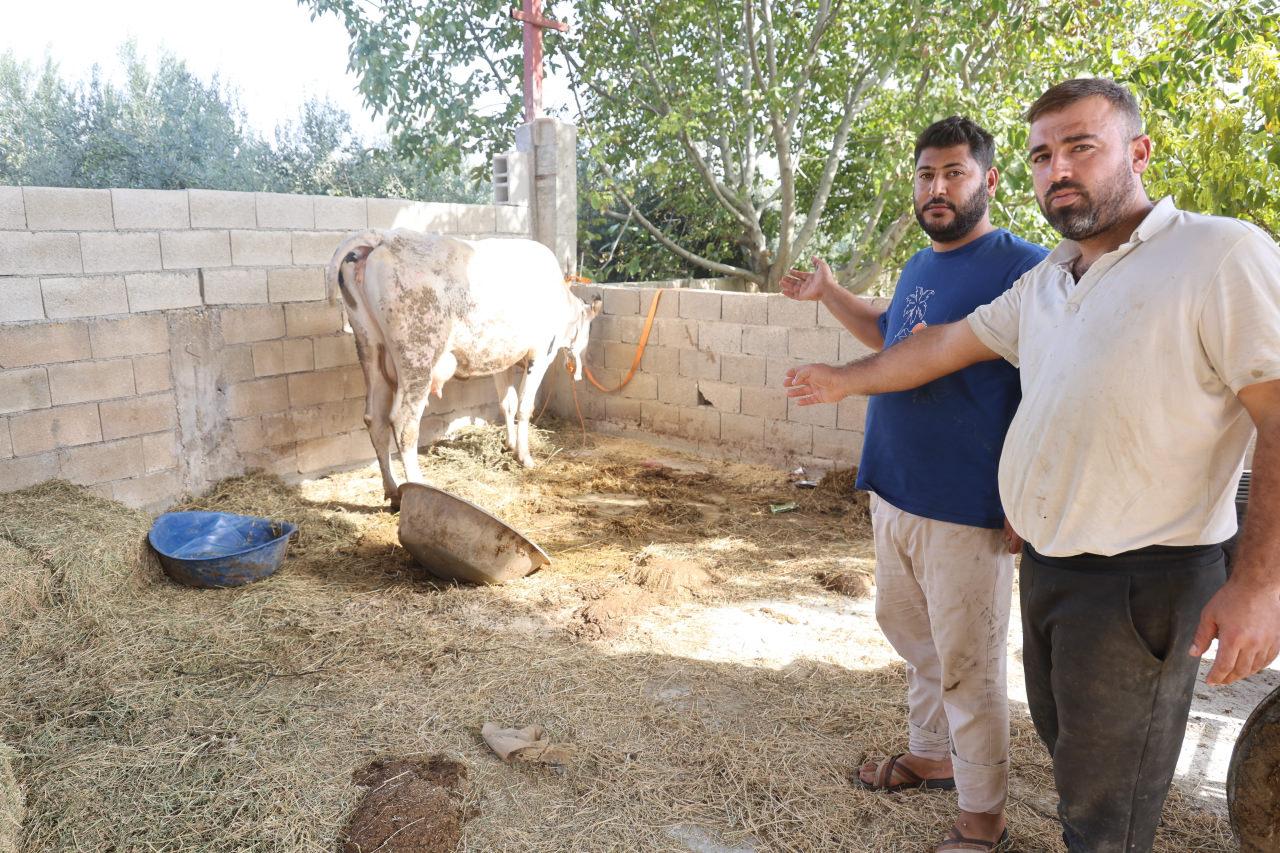 Süleyman Cılbak, Abdurrahman Kurt